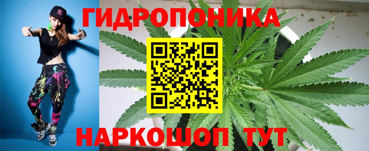 Баксан  Бошки марихуана OG Kush  Вход с VPN  Бошки марихуана планчик  Конопля MAZAR 
